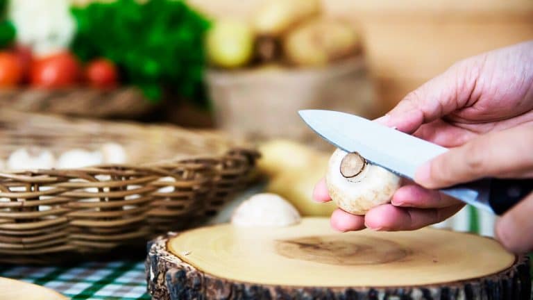 12 recettes inspirantes pour profiter des champignons frais de votre cueillette du week-end